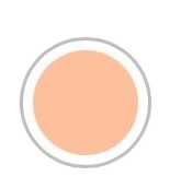 POLVO COMPACTO