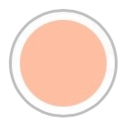 POLVO COMPACTO