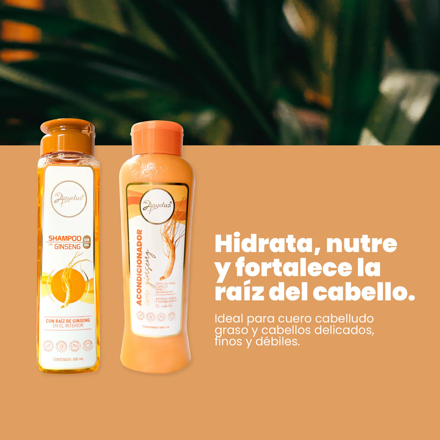 KIT DÚO GINSENG
